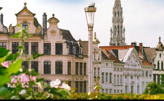 Vue panoramique de Bruxelles avec ses bâtiments historiques, ses jardins verdoyants et la tour de l’Hôtel de Ville en arrière-plan