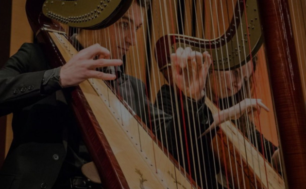 Diner concert harpe Dans le Noir ? Brussels